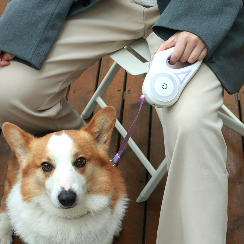 犬用リード 伸縮リード&犬用首輪 スポットライト付き 自動 ペット用 犬・猫用 トラクションロープ 小型・中型犬向け ペット用品