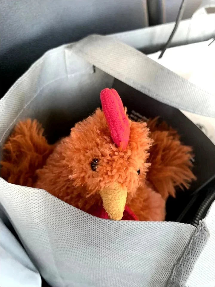 Jellycat Plush Chicken Pillow Stuffed Soft Cartoon CecileChien Furry Animal Kawaii Plush Collection Funny Toy Gift for Children